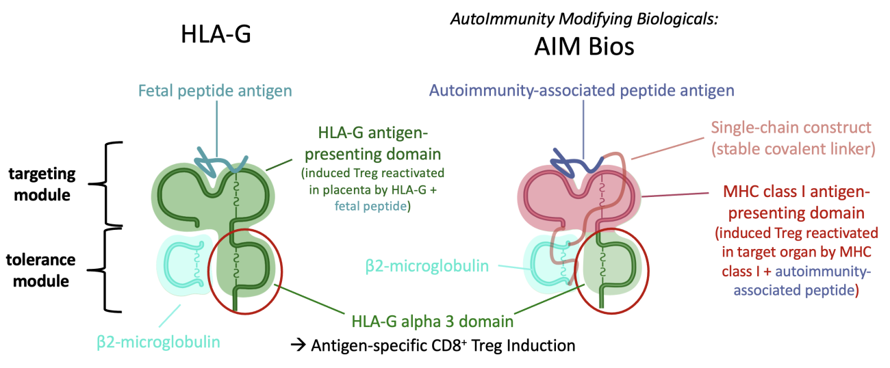 AIM Bio design